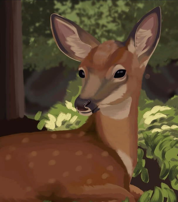 "Dearest, Deer" - Animal Portrait [Digital]